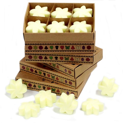Caixa com 6 Velas de Soja - Limão