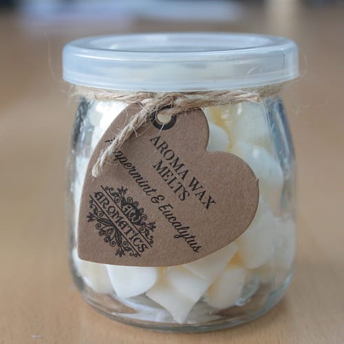Pastilhas de Cera Aromática - Menta e Eucalipto