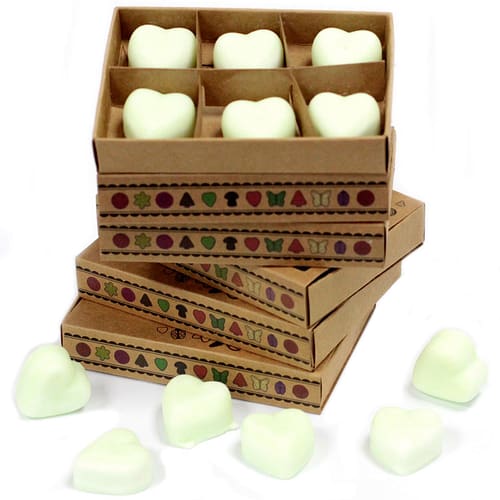 Caixa com 6 Velas de Soja - Maçã com Especiarias